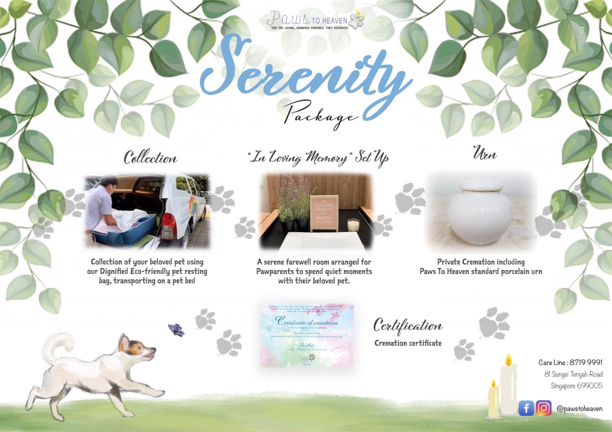 Pet Cremation Package Paws Love It